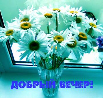 https://upforme.ru/uploads/000e/ad/4d/11355/t600512.jpg