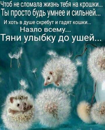 https://upforme.ru/uploads/000e/ad/4d/11355/t61055.jpg
