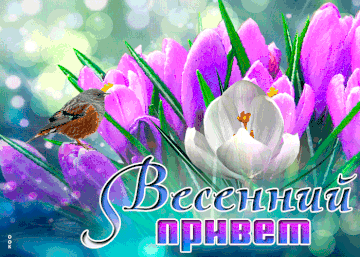 https://upforme.ru/uploads/000e/ad/4d/11355/t616779.gif
