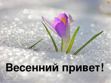 https://upforme.ru/uploads/000e/ad/4d/11355/t676679.jpg