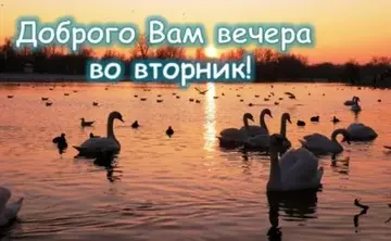 https://upforme.ru/uploads/000e/ad/4d/11355/t679833.webp