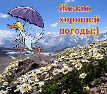https://upforme.ru/uploads/000e/ad/4d/11355/t694797.webp
