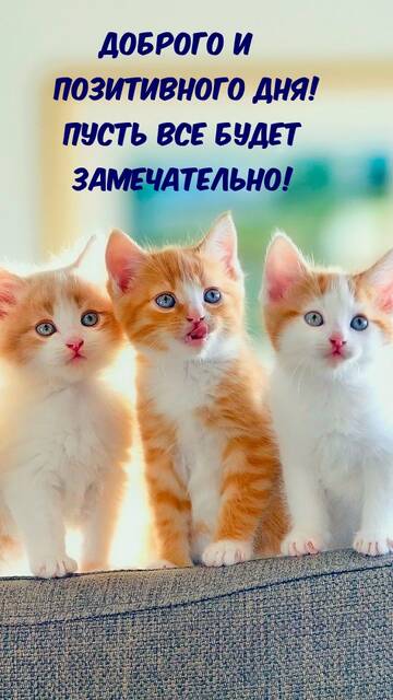https://upforme.ru/uploads/000e/ad/4d/11355/t698573.jpg