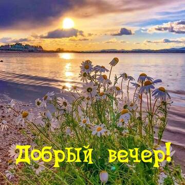 https://upforme.ru/uploads/000e/ad/4d/11355/t712497.jpg