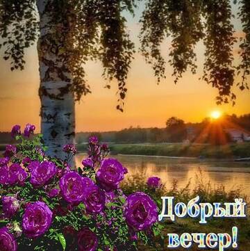 https://upforme.ru/uploads/000e/ad/4d/11355/t752852.jpg
