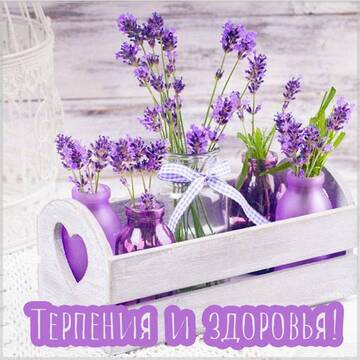 https://upforme.ru/uploads/000e/ad/4d/11355/t767155.jpg