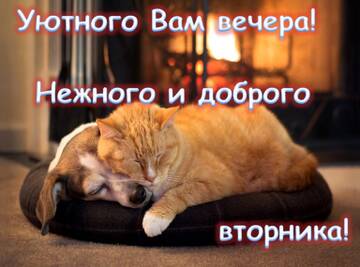 https://upforme.ru/uploads/000e/ad/4d/11355/t774213.jpg