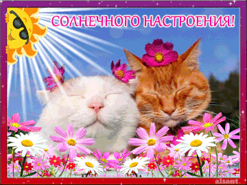 https://upforme.ru/uploads/000e/ad/4d/11355/t788670.gif
