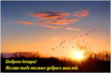 https://upforme.ru/uploads/000e/ad/4d/11355/t808225.jpg