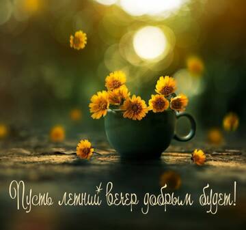 https://upforme.ru/uploads/000e/ad/4d/11355/t829418.jpg