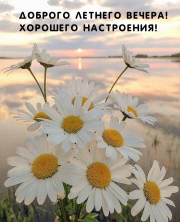 https://upforme.ru/uploads/000e/ad/4d/11355/t858158.jpg
