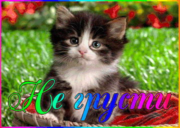 https://upforme.ru/uploads/000e/ad/4d/11355/t873235.gif