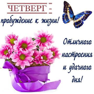 https://upforme.ru/uploads/000e/ad/4d/11355/t904287.jpg