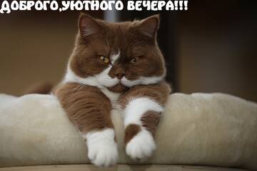 https://upforme.ru/uploads/000e/ad/4d/11355/t905519.jpg