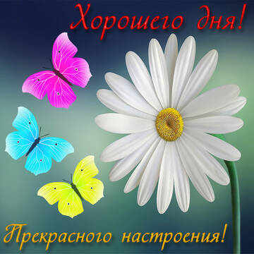 https://upforme.ru/uploads/000e/ad/4d/11355/t905766.jpg