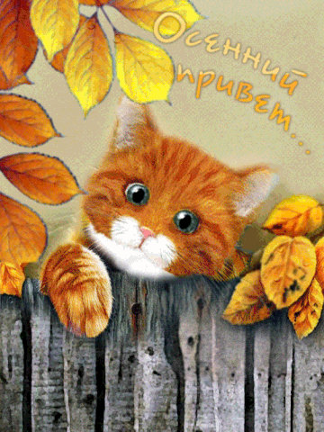 https://upforme.ru/uploads/000e/ad/4d/11355/t911425.gif