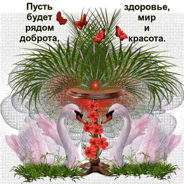 https://upforme.ru/uploads/000e/ad/4d/11355/t925912.jpg