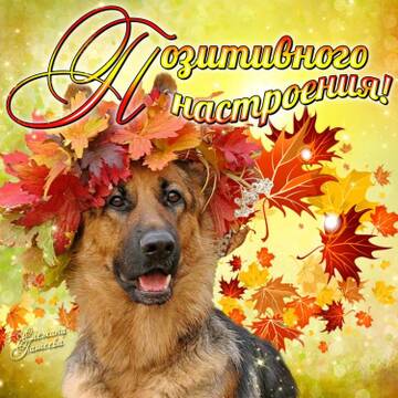 https://upforme.ru/uploads/000e/ad/4d/11355/t966667.jpg