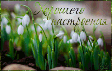 https://upforme.ru/uploads/000e/ad/4d/11355/t967591.gif