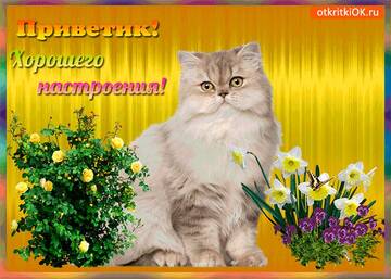 https://upforme.ru/uploads/000e/ad/4d/11355/t985145.jpg