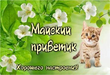 https://upforme.ru/uploads/000e/ad/4d/11355/t997655.jpg