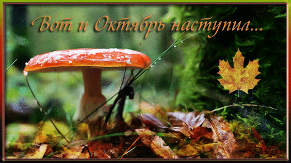 https://upforme.ru/uploads/000e/ad/4d/16619/890332.gif