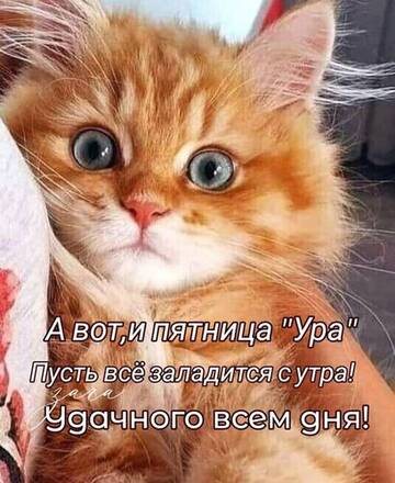 https://upforme.ru/uploads/000e/ad/4d/16619/t816527.jpg