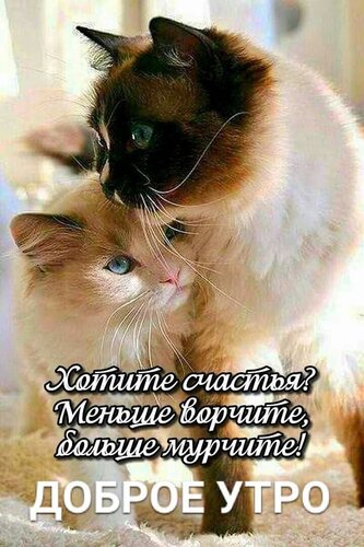 https://upforme.ru/uploads/000e/ad/4d/16619/t897294.jpg