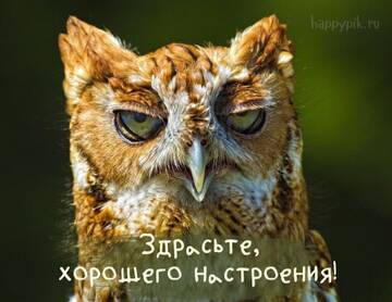 https://upforme.ru/uploads/000e/ad/4d/27634/t580718.jpg