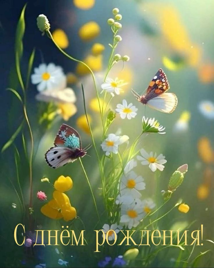 https://upforme.ru/uploads/000e/ad/4d/28465/523681.jpg