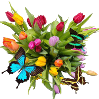 https://upforme.ru/uploads/000e/ad/4d/28465/533658.png