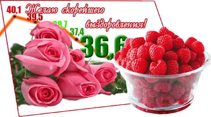 https://upforme.ru/uploads/000e/ad/4d/28465/67762.gif