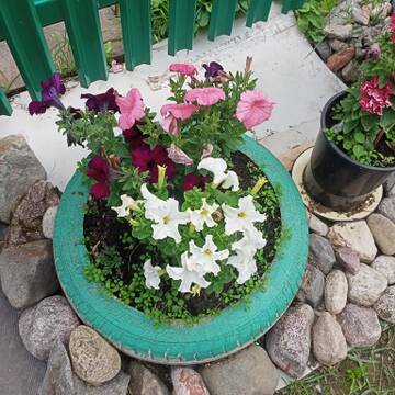 https://upforme.ru/uploads/000e/ad/4d/28995/t345904.jpg