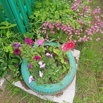 https://upforme.ru/uploads/000e/ad/4d/28995/t63130.jpg