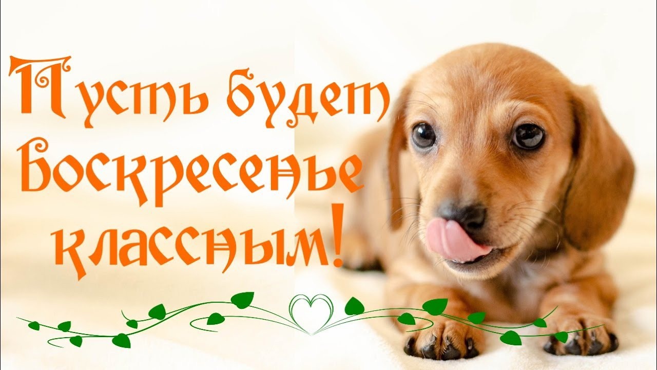 https://upforme.ru/uploads/000e/ad/4d/30700/140664.jpg