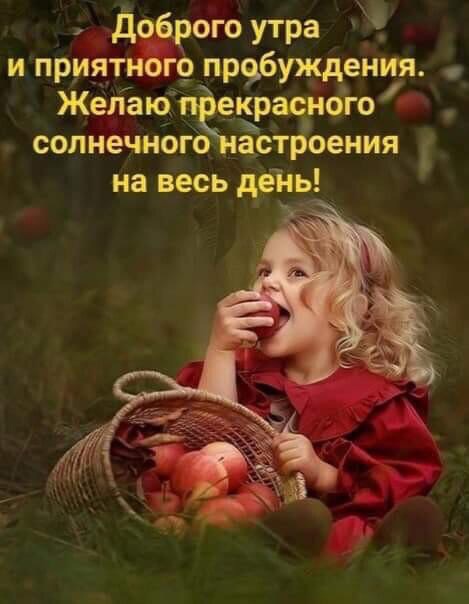 https://upforme.ru/uploads/000e/ad/4d/30700/t724541.jpg