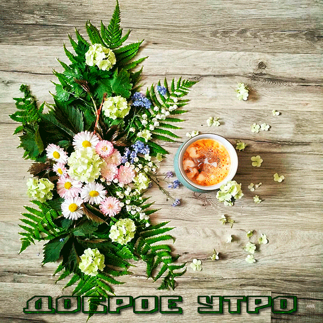 https://upforme.ru/uploads/000e/ad/4d/31488/94959.gif