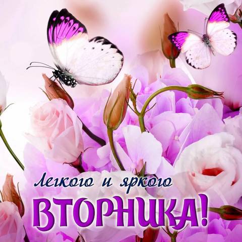 https://upforme.ru/uploads/000e/ad/4d/31488/t49535.jpg