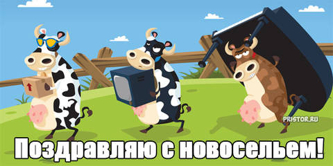 https://upforme.ru/uploads/000e/ad/4d/31488/t88356.jpg