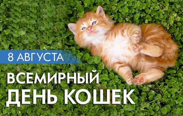 https://upforme.ru/uploads/000e/ad/4d/31711/t999640.jpg