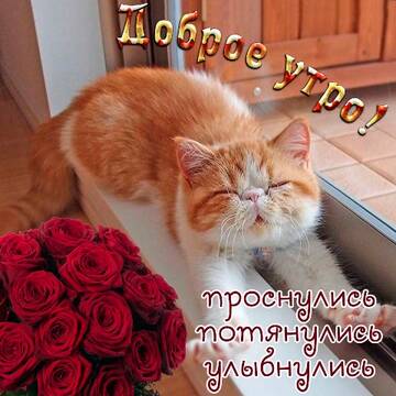 https://upforme.ru/uploads/000e/ad/4d/32361/t181715.jpg