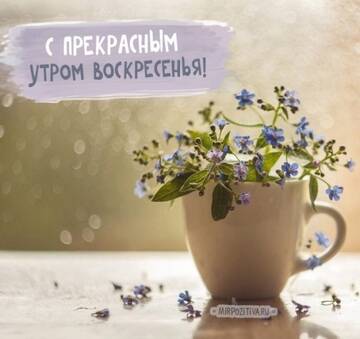 https://upforme.ru/uploads/000e/ad/4d/32361/t19065.jpg
