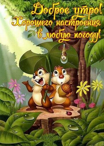 https://upforme.ru/uploads/000e/ad/4d/32361/t435452.jpg