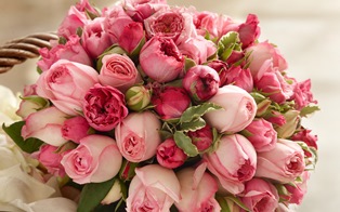 https://upforme.ru/uploads/000e/ad/4d/32361/t556923.jpg