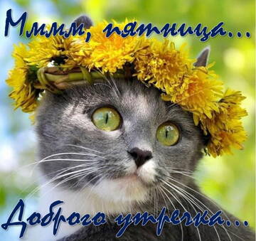 https://upforme.ru/uploads/000e/ad/4d/32443/t16484.jpg