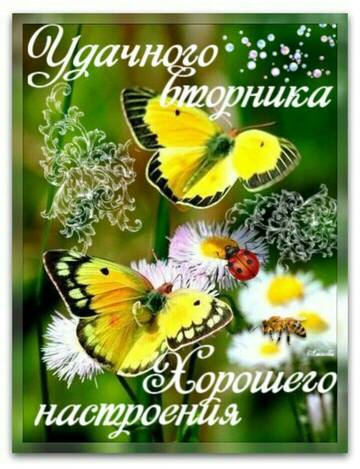https://upforme.ru/uploads/000e/ad/4d/32543/t137415.jpg