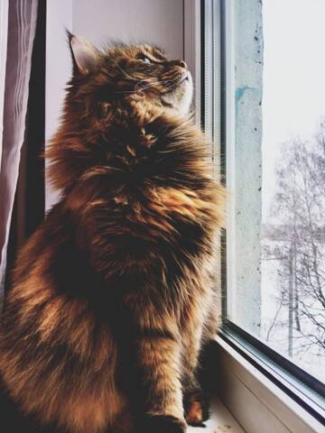 https://upforme.ru/uploads/000e/ad/4d/32985/t738350.jpg