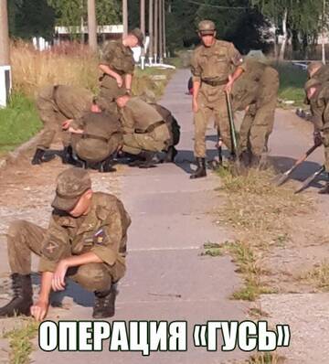https://upforme.ru/uploads/000e/ad/4d/32989/t247896.jpg