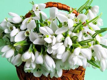https://upforme.ru/uploads/000e/ad/4d/33087/t425469.jpg