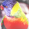 https://upforme.ru/uploads/000e/bd/fe/15717-3.png